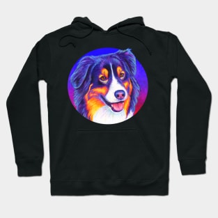 Colorful Tricolor Australian Shepherd Dog Hoodie